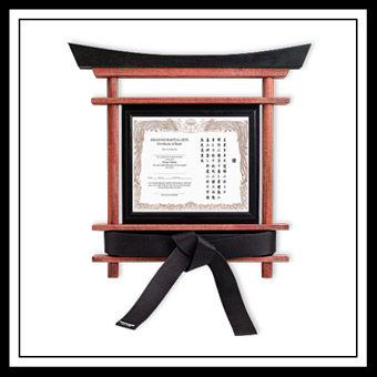 Belt Display