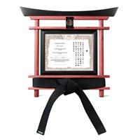 Martial Arts Belt Display with Certificate Kataaro