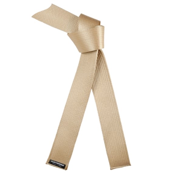 Martial Arts Satin Gold Belt - Kataaro