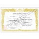 Martial Arts Certificate 11x17 Semi Custom English