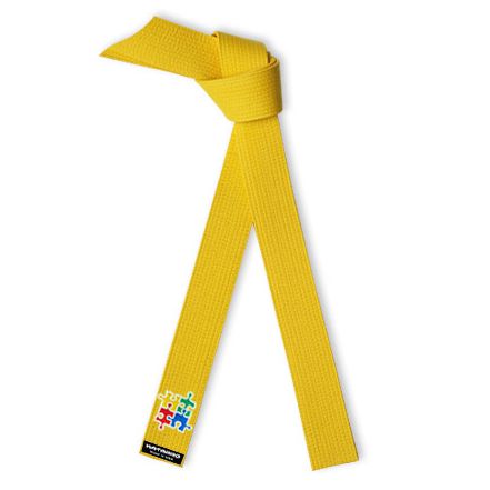 Embroidered Autism Awareness Martial Arts Rank Belt Yellow
