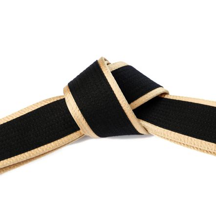 Deluxe Martial Arts Black Belt Gold Border Tied