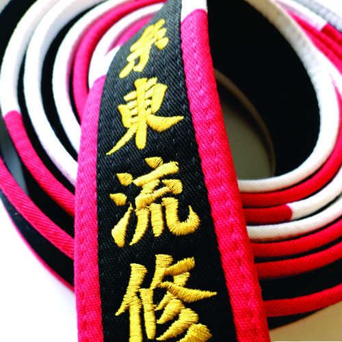 Embroidered Deluxe Master Black Belt Red and White Panel Border