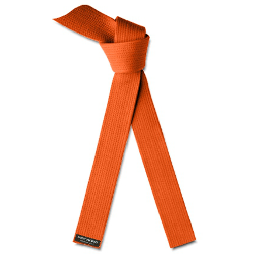 Deluxe Martial Arts Karate Rank Belt Orange