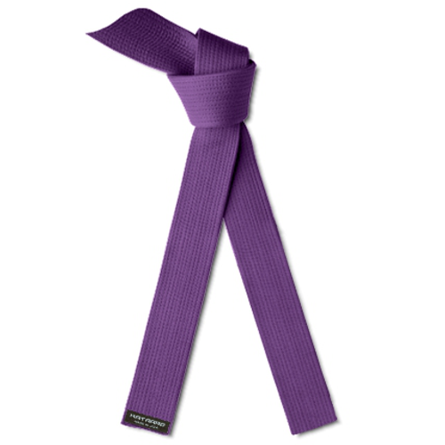 Deluxe Martial Arts Karate Rank Belt Purple