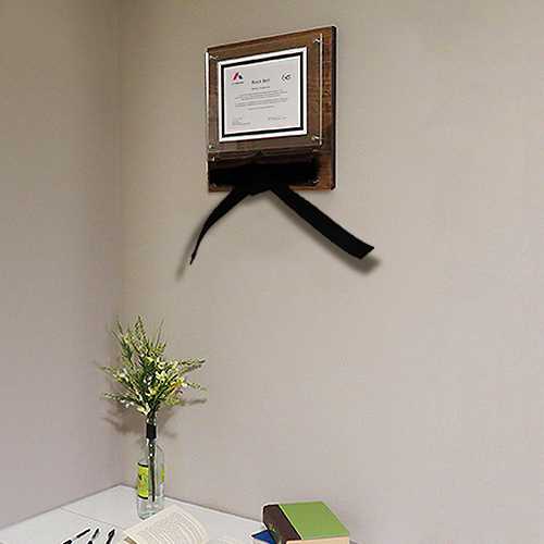 Executive Six Sigma Belt Certificate Display in Office