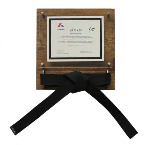 Executive Six Sigma Belt Certificate Display Full