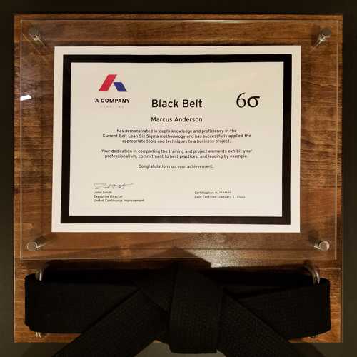 Executive Lean Six Sigma Belt Certificate Display