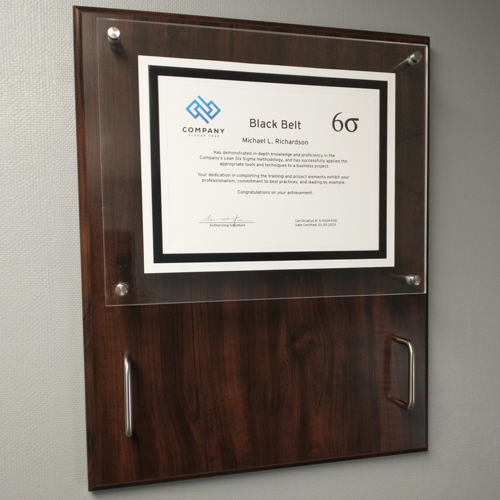 Executive Six Sigma Belt Certificate Display No Belt