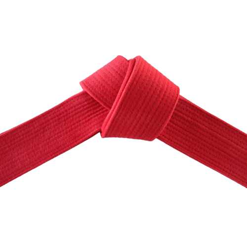 Deluxe Martial Arts Jujitsu BJJ Red Belt Tied