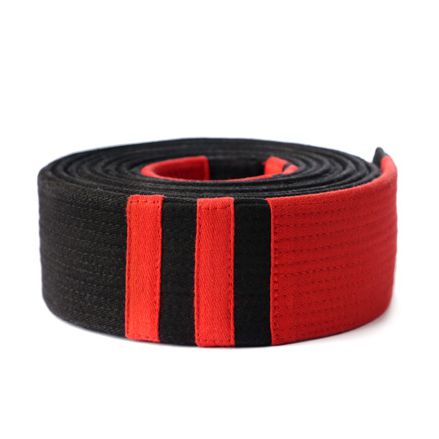 Martial Arts Kenpo Black Belt 7th Degree Kempo Rolled