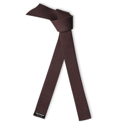 Lean Six Sigma Martial Arts Brown Rank Belt