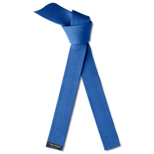 Lean Six Sigma Champion Blue Karate Belt