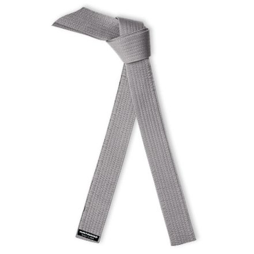 Lean Six Sigma Martial Arts Gray Rank Belt