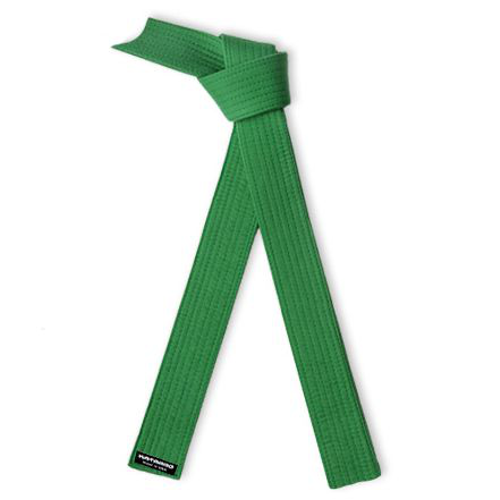 Lean Six Sigma Martial Arts Green Rank Belt