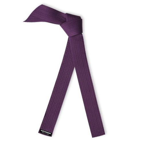 Lean Six Sigma Martial Arts Purple Rank Belt