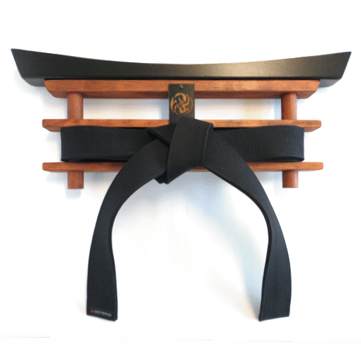 Six Sigma Martial Arts Karate Belt Display with Black Belt
