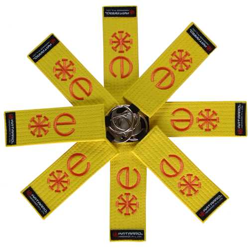 OE Juno Therapeutics Six Sigma Yellow Belt Keychain
