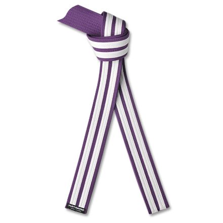 Martial Arts Purple Rank Belt with Double White Stripes