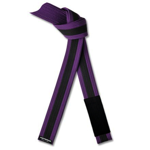 Jujitsu BJJ Purple Rank Belt with Black Stripe