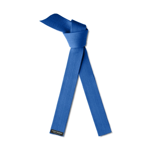 Lean Six Sigma Champion Blue Belt