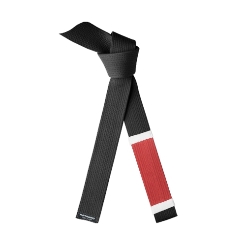 Martial Arts Deluxe Jujitsu BJJ Instructor Black Belt