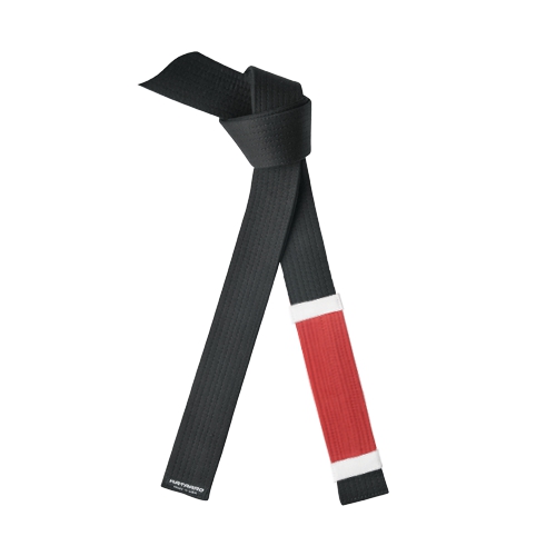 Deluxe Martial Arts Jujitsu BJJ Instructor Black Belt