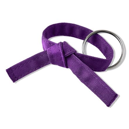 Six Sigma Rank Belt Key Chain Tied - Purple