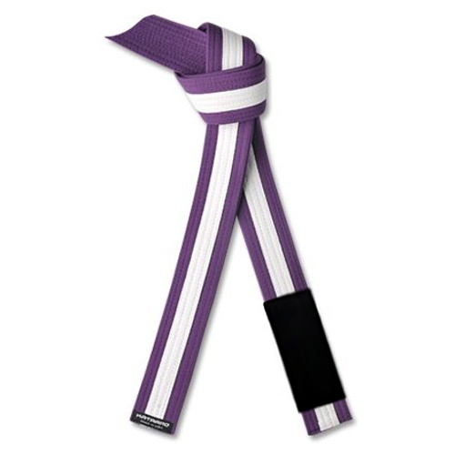 Jujitsu BJJ Purple Rank Belt with White Stripe