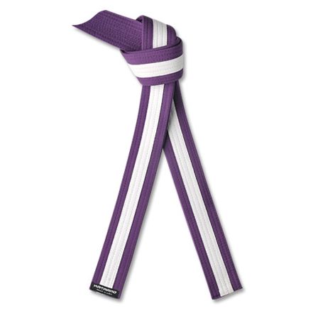 Martial Arts Purple Rank Belt with White Stripe