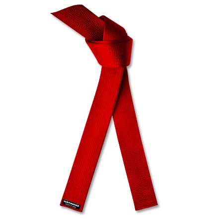 Embroidered Red Belt - Satin