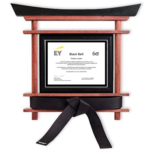 Six Sigma Award Displays