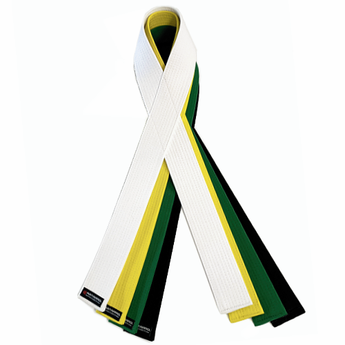 Embroidered Six Sigma Martial Arts Color Ribbon Award Belt