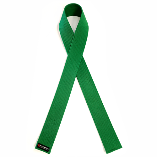 Six Sigma Martial Arts Award Green Ribbon Belt