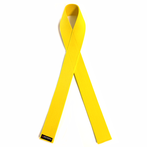 Six Sigma Martial Arts Award Yellow Ribbon Belt
