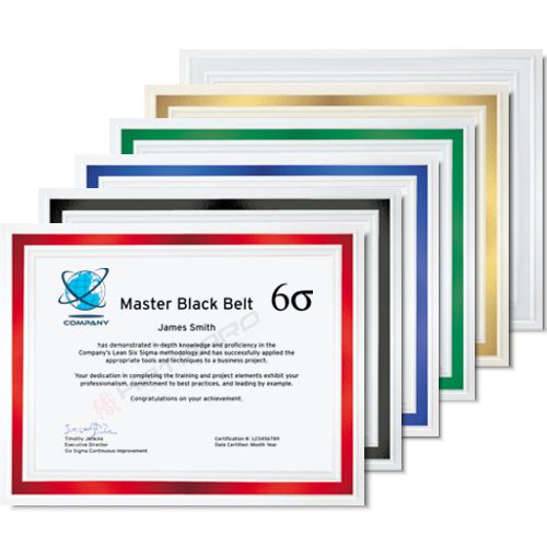 Six Sigma Rank Belt Certificate