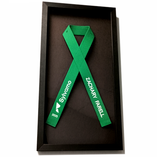 Embroidered Six Sigma Green Ribbon Belt in Shadow Box Sylvamo