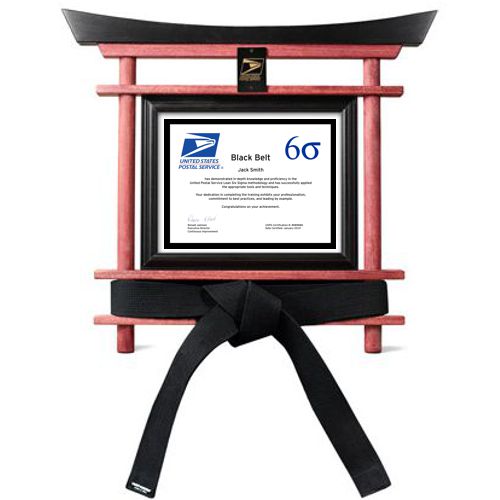 USPS Six Sigma Martial Arts Certificate and Black Belt Display
