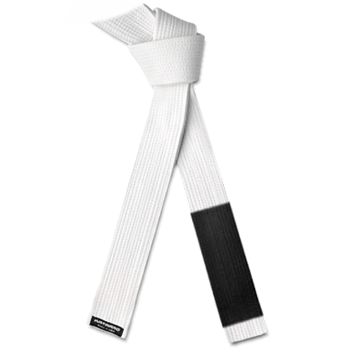 Martial Arts Jujitsu BJJ Rank Belt - White