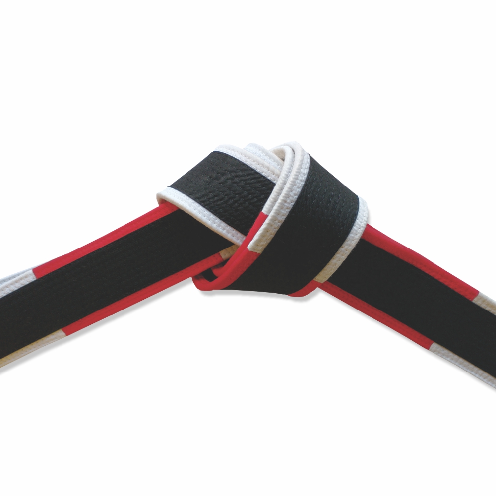 Deluxe Master Black Belt Red and White Panel Border Tied