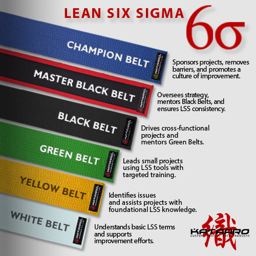 Lean Six Sigma Martial Arts Belt Levels Infographic