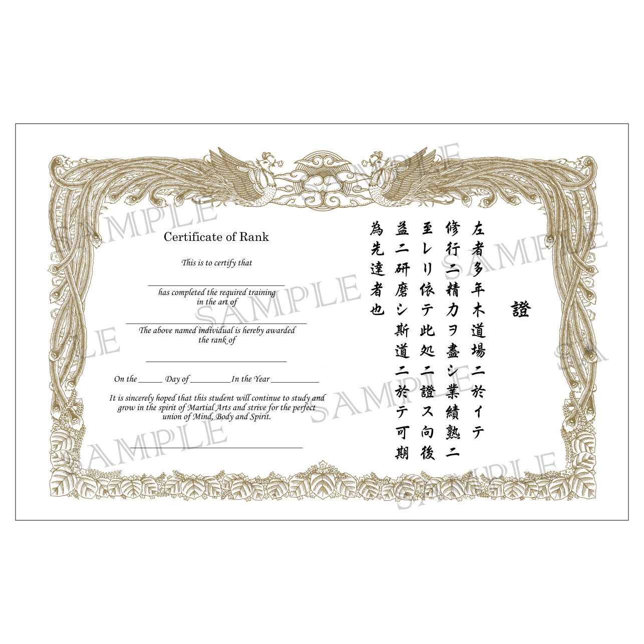 Pk.of 5 Samurai Belt Rank Achievement Certificates Details about   Martial Art Certificates 