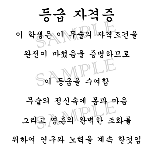 Martial Arts Certificate Korean Hanja Text