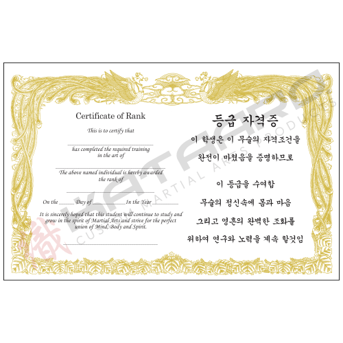 Gold Basic Martial Arts Certificate - Korean