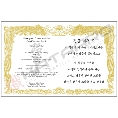 Martial Arts Certificate 11x17 Semi Custom Korean