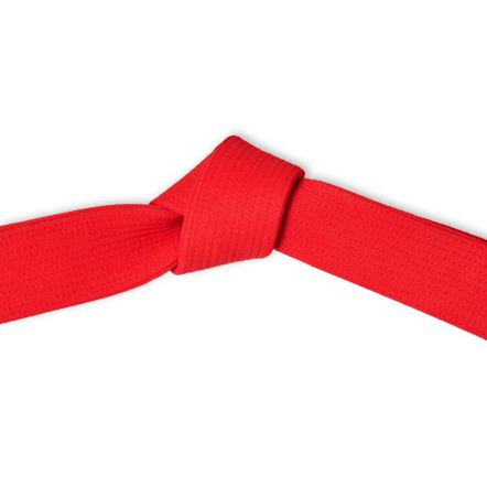 Deluxe Martial Arts Master Red Belt Tied