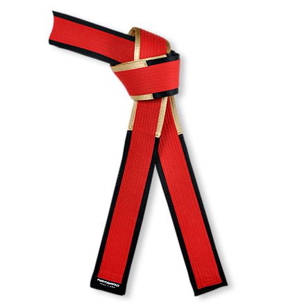 Deluxe Martial Arts Master Belt Red Black Gold Panel Border
