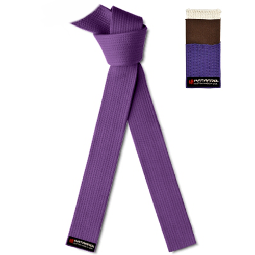 Transition Martial Arts Rank Belt - Purple Detailed