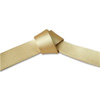 Deluxe Gold Satin Belt