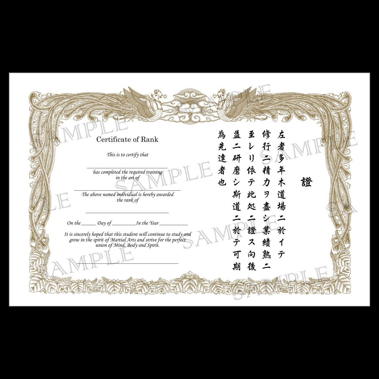 TaeKwonDo & Karate Rank Certificates Martial Arts Certificates Pack of 5 